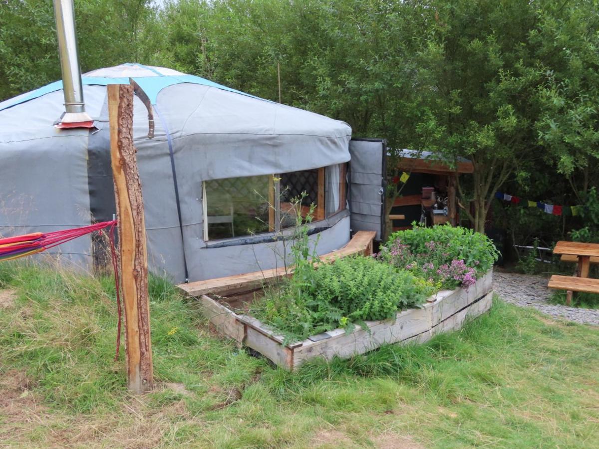 Hotel Fire Yurt Machynlleth Exteriér fotografie