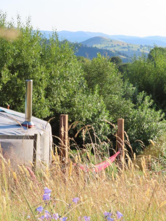 Hotel Fire Yurt Machynlleth Exteriér fotografie